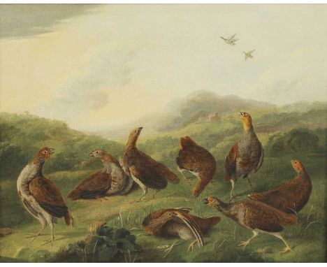 Stephen Elmer (1717-1796)A covey of partridges in a landscapeoil on canvas38.5 x 45cmCondition report: The canvas is lined. T