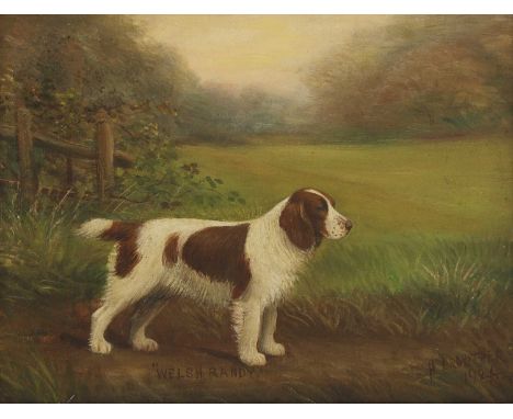 Henry Crowther (19th-20th century)'Welsh Randy', a Welsh Springer Spaniel signed and dated 1924 l.r., inscribed l.c., oil on 