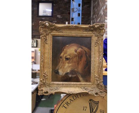 A OIL ON CANVAS IN GOLD GILT FRAME - PORTRAIT OF A DOG - SIGNED JED EMIYS 