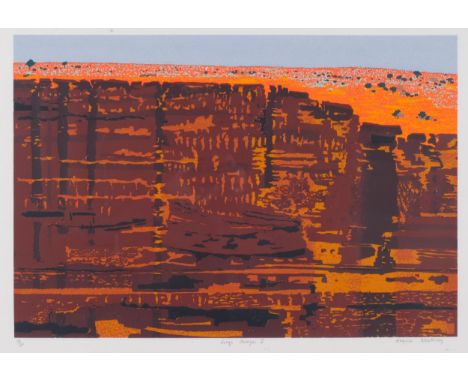Angela Newberry, Kings Canyon One, screenprint, signed in pencil, no. 14/20, image 38cm x 56cm, framedGood condition