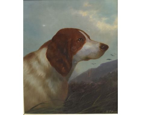 *H PALMER Portrait of a dog Oil on board Signed lower right 33cm x 27cm Condition Report : Only H PALM visible signature, we 