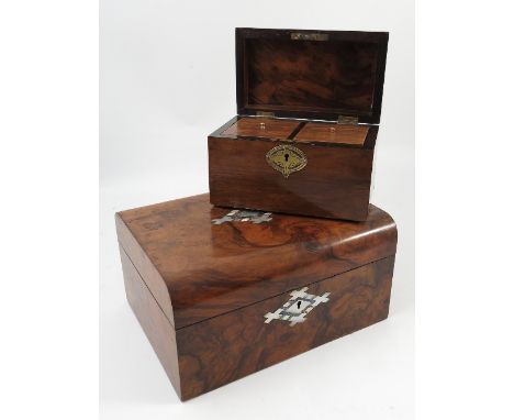 A 19th century burr walnut two division tea caddy, of dome top form, width 8ins, together with a 19th century burr walnut sew