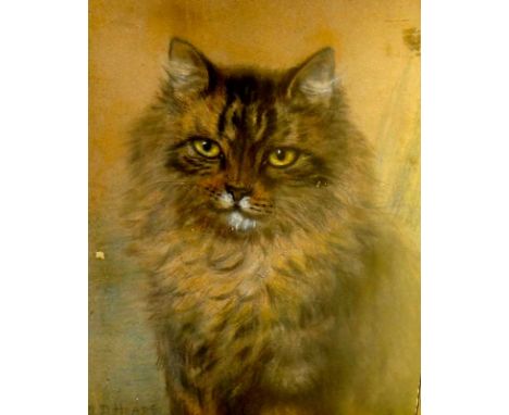 W. D. Heaps - portrait of a tabby cat, pastel on buff paper, signed lower left, 29 cm x 23 cm, framed