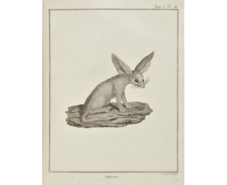 Bruce (James). Voyage en Nubie et en Abyssinie, entrepris pour decouvrir les sources du Nil, pendant les annees 1768, 1769, 1