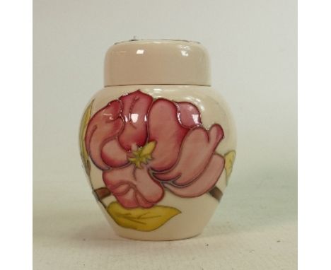 Moorcroft pink magnolia on cream small ginger jar: Height 11cm 