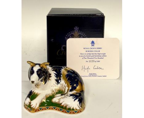 A Royal Crown Derby paperweight, Border Collie, gold backstamp special limited edition, 1,123/2,500, gold stopper10cm wide, p