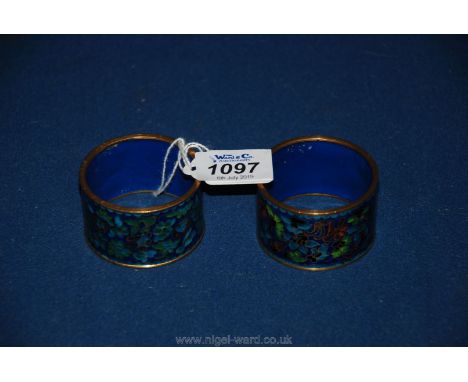 A pair of early 20th c. cloisonne napkin Rings with all over flower and leaf enamel decoration.