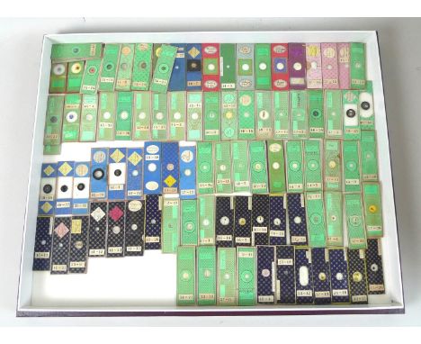 A collection ninety-five 19th century microscope slides, including insectand mammal samples, many with handwritten labels. (1