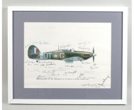 A military print of a Hawker Hurricane in profile, signed by approximately forty past RAF pilots, servicemen and other relate