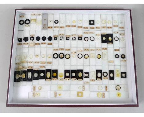 A collection of eighty-four 19th century diamond etched microscope slides, including insect and flora samples. (1 box) 