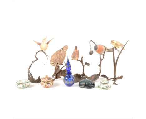 Four Albany Worcester bird models, a Flycatcher, 26cm; Warbler; Goldfinch, and Little Owl; similar model of Wren; together wi