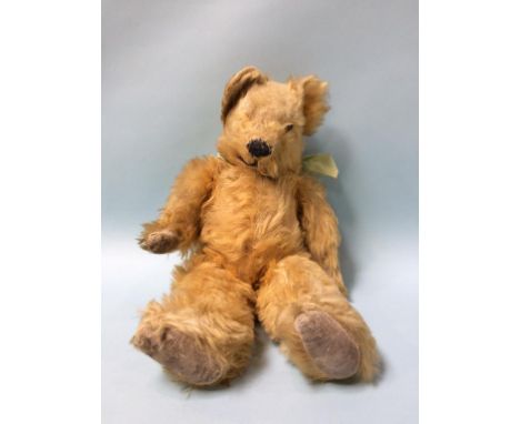 A plush teddy bear