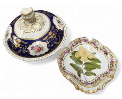 A Derby Botanical shell shaped dish, with Large-Flowered St John's Wort, Hypericum Calycinum, the border with roses, 23cm wid