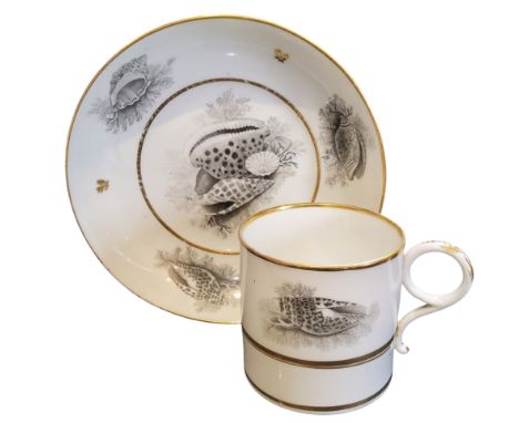 A Worcester Barr, Flight and Barr coffee can, bat printed with shells, banded in gilt, impressed mark, 1804 - 1813