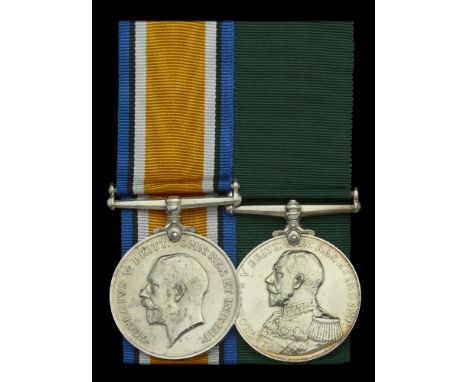 Pair: Reserve Wardmaster H. Hamill, Royal Naval Auxiliary Sick Berth Reserve  British War Medal 1914-20 (M. 9731 H. Hamill. R