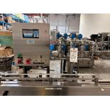 DATA SCALE MODEL 0-104-IL 4 HEAD NET WEIGHT FILLER, 2009