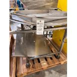 48" ACCUMULATION TABLE