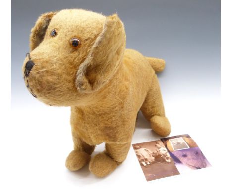 Steiff style blonde mohair dog c1929, with related photograph, H43cm.