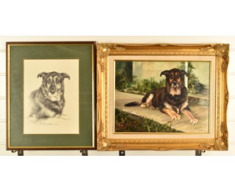 Claire A Verity oil on canvas 'Buttons' Dog Portrait, signed lower right, 29 x 39.5cm, in gilt frame, together with a pencil 