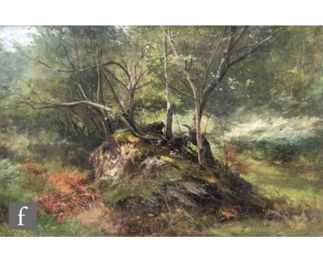DAVID BATES (1840-1921) - 'Sketch in the Lledr Valley', oil on canvas, signed and dated 1876, signed and titled verso, framed