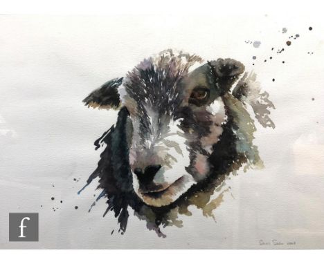 SARAH STOKES (CONTEMPORARY) - Study of a sheep, watercolour, signed and dated 2015, framed, 42cm x 59cm, frame size 60cm x 76