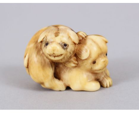 A GOOD JAPANESE MEIJI PERIOD CARVED IVORY NETSUKE OF TWO PUPPIES, one climbing upon the back of another, fur finely detailed,