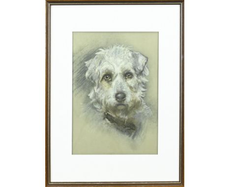 Unsigned. First half 20th century. Portrait terrier. Pastel on paper. Dimensions: H 27 x W 20 cm. In good condition.