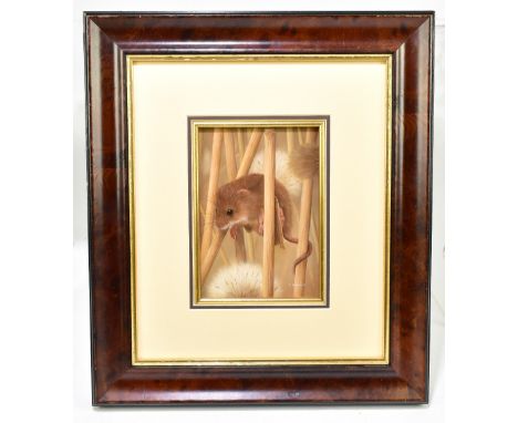 CARL WHITFIELD; oil on panel, depicting a dormouse amongst dandelions, signed lower right, 12 x 17cm, framed. (D)Additional I