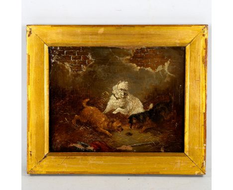 Circle of George Armfield, 19th century oil on canvas, Terriers in a stable, indistinctly signed, dated 1887, 20cm x 26cm, fr