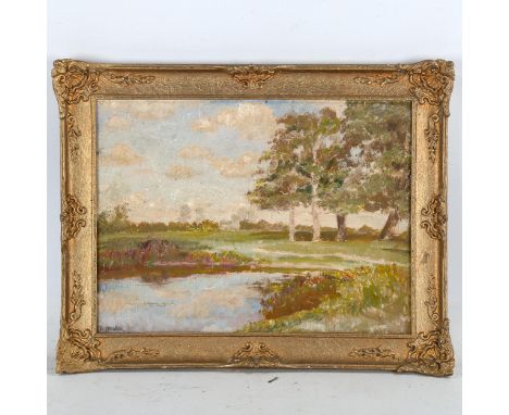D Spencer, oil on board, landscape, signed, 28cm x 37cm, framedA few light surface paint abrasions, generally good 
