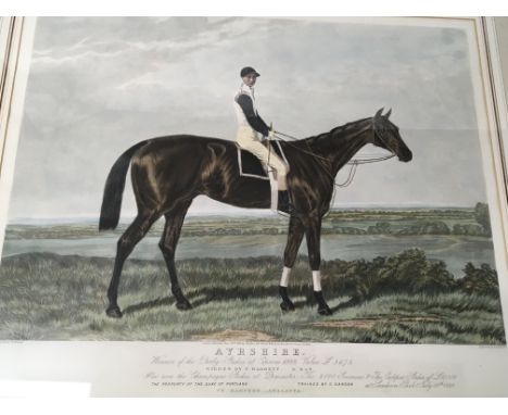 A framed late 19th century print a horse racing portrait of Ayrshire winner of the Derby at Epsom in 1888. 88x68cm