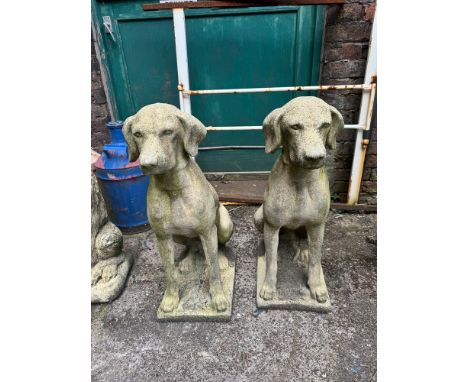English Stone Pair of Hunting Dogs on plinth base
H72cm Weight 60kg each approx 