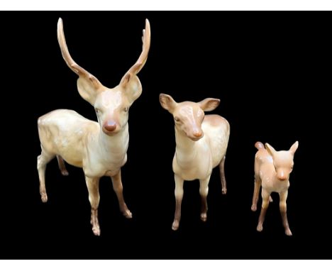 Beswick Deer Family comprising Stag Figure no 981,a Doe no  999 and a fawn no 100. all in light brown gloss.