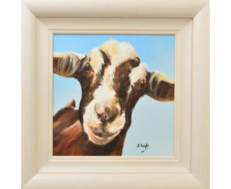 AL KNIGHT (SCOTTISH CONTEMPORARY), 'Marty', a whimsical portrait of a Goat, signed bottom right, oil on canvas, framed, appro