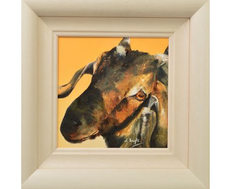 AL KNIGHT (SCOTTISH CONTEMPORARY), 'Lugs', a portrait study of a Goat, signed bottom right, framed, oil on canvas, approximat