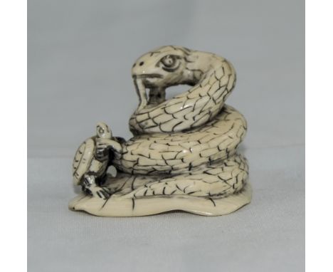 Japanese Ivory Netsuke Finely Carved Depicting A Coiled Snake With Tortoise, Signed To Base