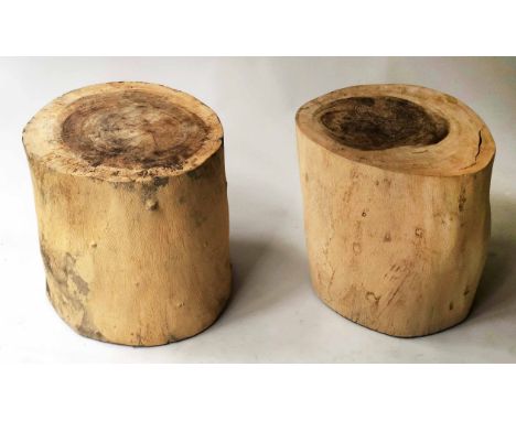 RUSTIC STOOLS, two plain tree trunk sections, 45cm H. (2)