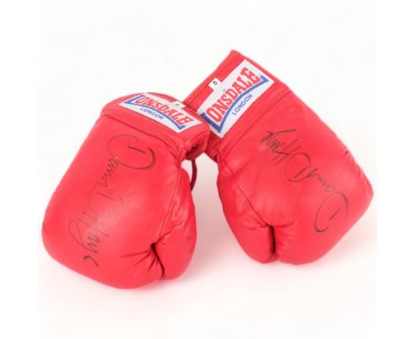 BOXING INTEREST - a pair of boxing gloves, signed by former World Heavyweight Champion David Haye, in protective case 