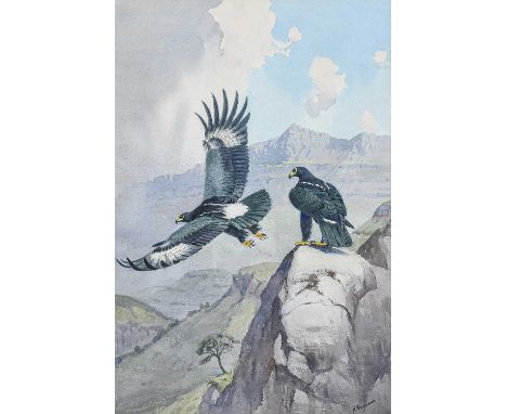 John Cyril Harrison (1898-1985). Black Eagles in a mountainous landscape. Signed, pencil and watercolour, 54.5 x 36 cmTHE LIB