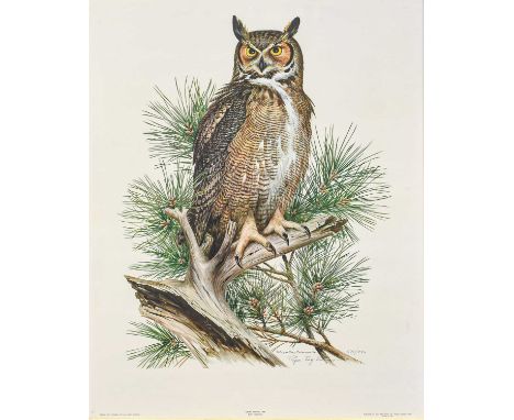 After Roger Tory Peterson (1908-1996), American. "Road Runner", signed in pencil no. 599/950, together with a further signed 