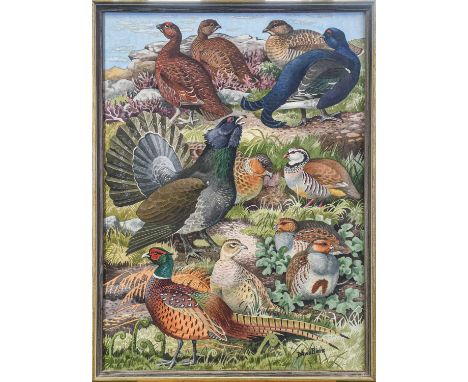 David Binns (1935-2020). British game birds. Signed, pencil and watercolour heightened in white, 57.5 x 42 cmTHE LIBRARY, PIC