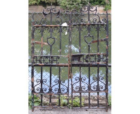 A pair of black painted wrought-iron garden gates of scroll design, each gate, 21¼” wide x 63½” high.