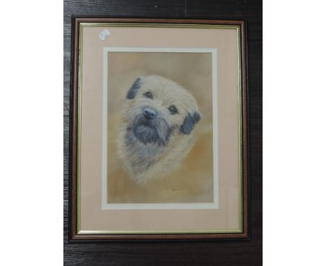 A pastel sketch, Hazel Wilson, Border Terrier, signed and attributed verso, 33 x 23cm, plus frame and glazed