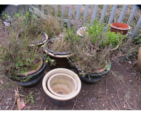 A large selection of ceramic garden planters and plants 