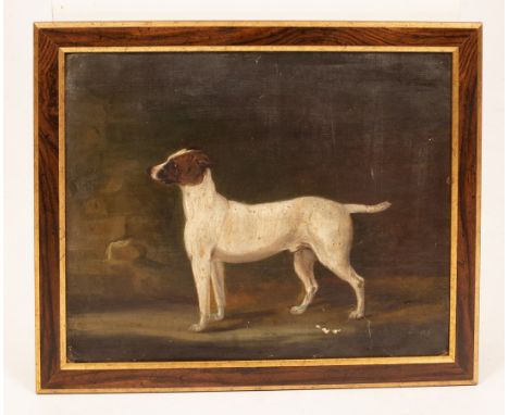 English School, 18th Century/Portrait of a Dog/oil on canvas, 30cm x 37cm CONDITION REPORT: Condition information is not usua