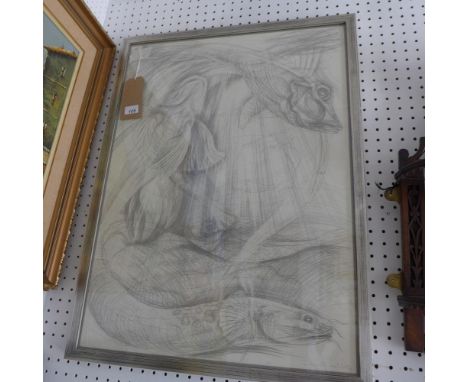 Justin Hindley, a pencil sketch of various fish, signed, 77x57cm 