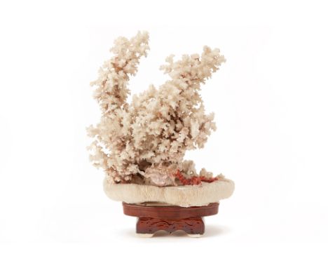 A LARGE WHITE CORAL SPECIMEN
ON glazed ceramic base
57cm high including base
Condition: Some breakages and looses apparent in