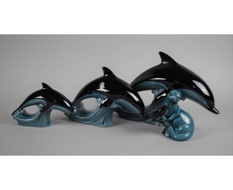 Three Poole Dolphins and a Seal 