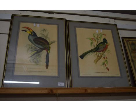 After J &amp; E Gould, a group of three ornithological prints, framed and glazed