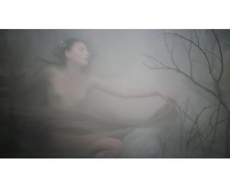 Toby Burrows (Australian), 'Willow', limited edition 2/12, pigment print on Hahnemuhe fine art baryta paper, signed, titled a